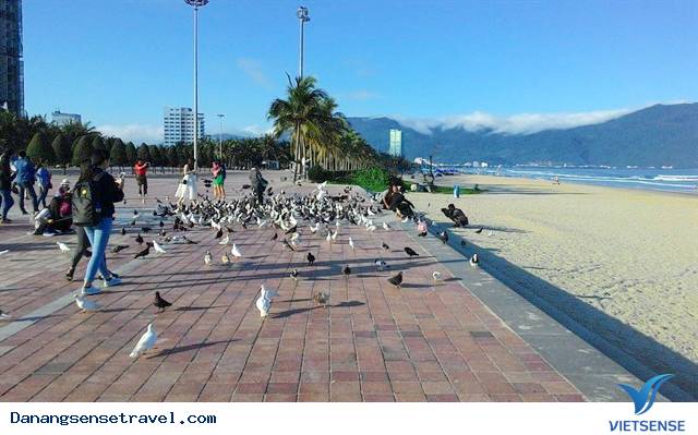 Vài nét về công viên Biển Đông - Ảnh 1 Vài nét về công viên Biển Đông - Ảnh 1