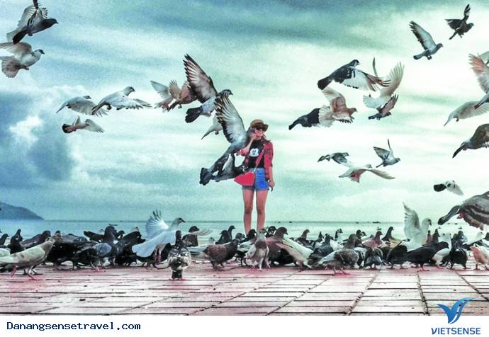 Những trải nghiệm thú vị tại công viên Biển Đông Những trải nghiệm thú vị tại công viên Biển Đông