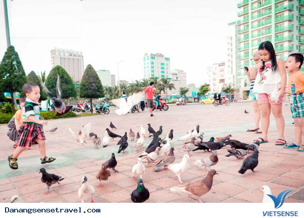 Vài nét về công viên Biển Đông - Ảnh 3 Vài nét về công viên Biển Đông - Ảnh 3