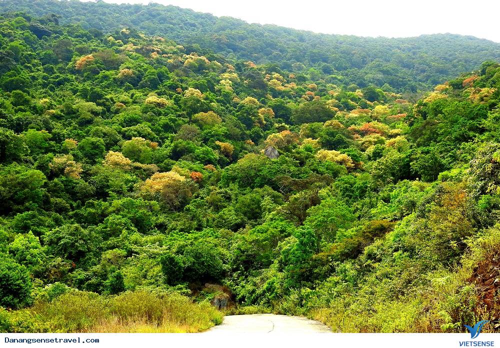 hành trình Đà Nẵng mùa cao điểm - Ảnh 3 hành trình Đà Nẵng mùa cao điểm - Ảnh 3