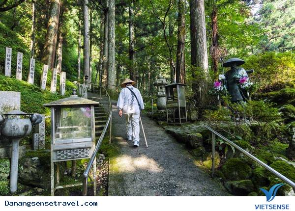 hành trình Đà Nẵng: New York Times bình chọn Đà Nẵng là Điểm đến của năm 2015 - Ảnh 8