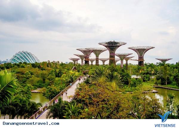 hành trình Đà Nẵng: New York Times bình chọn Đà Nẵng là Điểm đến của năm 2015 - Ảnh 5