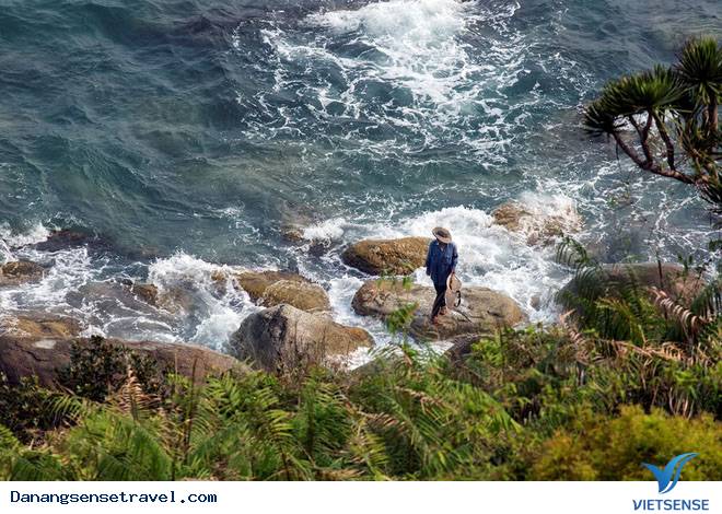 hành trình Đà Nẵng ngắm Bán Đảo Sơn Trà từ trên cao - Ảnh 4 hành trình Đà Nẵng ngắm Bán Đảo Sơn Trà từ trên cao - Ảnh 4