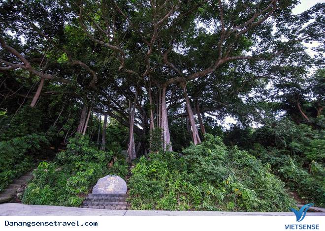 hành trình Đà Nẵng ngắm Bán Đảo Sơn Trà từ trên cao - Ảnh 6 hành trình Đà Nẵng ngắm Bán Đảo Sơn Trà từ trên cao - Ảnh 6