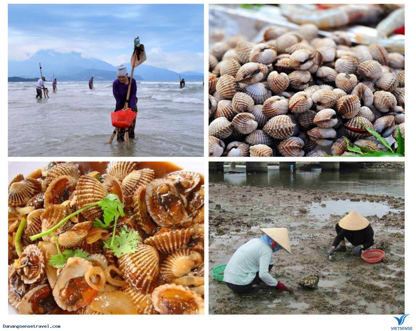 Sò Huyết Lăng Cô