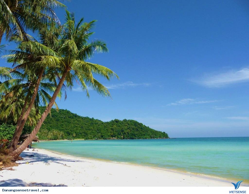 Đà Nẵng tết âm lịch thì đi đâu? - Ảnh 5 Đà Nẵng tết âm lịch thì đi đâu? - Ảnh 5