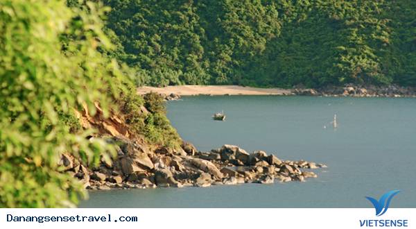 hành trình Mũi Nghê Sơn Trà Đà Nẵng - Ảnh 1 hành trình Mũi Nghê Sơn Trà Đà Nẵng - Ảnh 1