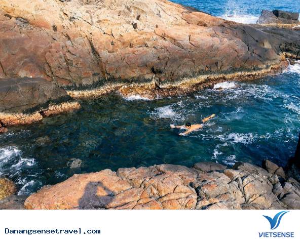 Giới thiệu Giới thiệu