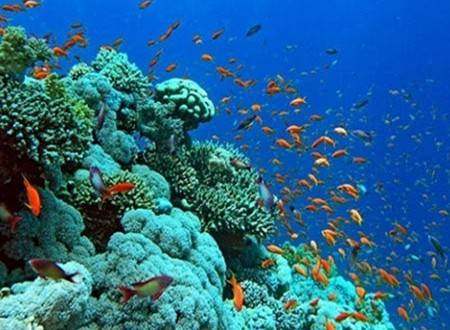 Trải nghiệm Trải nghiệm