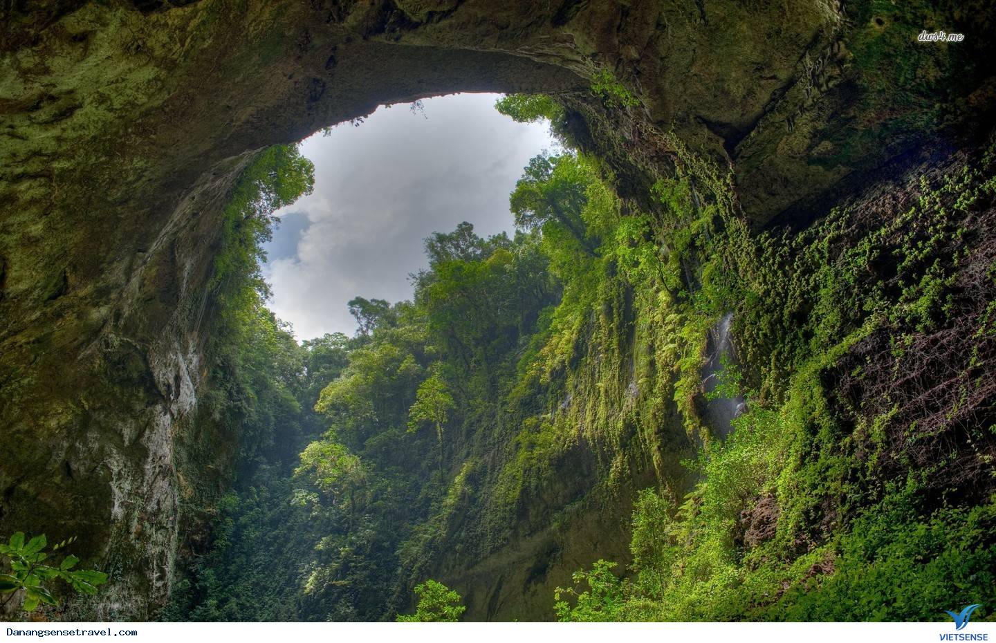 Hang Sơn Đoòng Vẻ Đẹp Tiềm Ẩn Của Việt Nam - Ảnh 17 Hang Sơn Đoòng Vẻ Đẹp Tiềm Ẩn Của Việt Nam - Ảnh 17