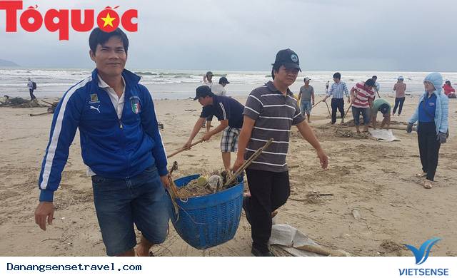Hình ảnh đẹp – Đà Nẵng dọn dẹp lượng rác khủng trên bờ biển - Ảnh 7 Hình ảnh đẹp – Đà Nẵng dọn dẹp lượng rác khủng trên bờ biển - Ảnh 7