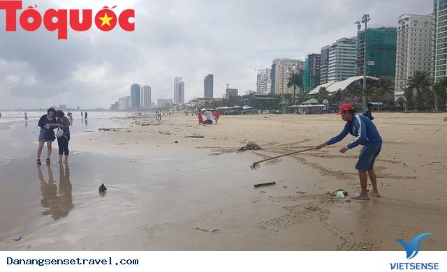 Hình ảnh đẹp – Đà Nẵng dọn dẹp lượng rác khủng trên bờ biển - Ảnh 4 Hình ảnh đẹp – Đà Nẵng dọn dẹp lượng rác khủng trên bờ biển - Ảnh 4