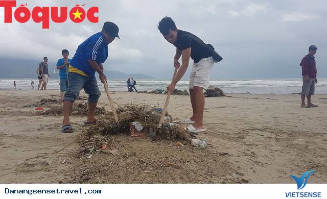 Hình ảnh đẹp – Đà Nẵng dọn dẹp lượng rác khủng trên bờ biển - Ảnh 8 Hình ảnh đẹp – Đà Nẵng dọn dẹp lượng rác khủng trên bờ biển - Ảnh 8