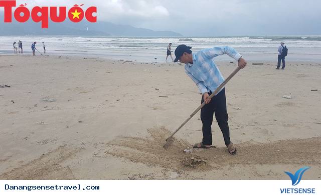 Hình ảnh đẹp – Đà Nẵng dọn dẹp lượng rác khủng trên bờ biển - Ảnh 5 Hình ảnh đẹp – Đà Nẵng dọn dẹp lượng rác khủng trên bờ biển - Ảnh 5