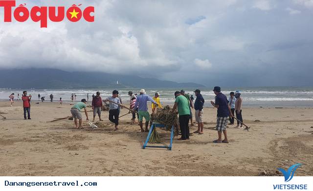 Hình ảnh đẹp – Đà Nẵng dọn dẹp lượng rác khủng trên bờ biển - Ảnh 3 Hình ảnh đẹp – Đà Nẵng dọn dẹp lượng rác khủng trên bờ biển - Ảnh 3