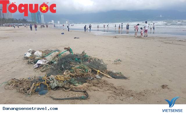 Hình ảnh đẹp – Đà Nẵng dọn dẹp lượng rác khủng trên bờ biển - Ảnh 2 Hình ảnh đẹp – Đà Nẵng dọn dẹp lượng rác khủng trên bờ biển - Ảnh 2