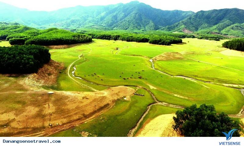 Hồ Hòa Trung – thảo nguyên xanh giữa lòng thành phố Đà Nẵng - Ảnh 3