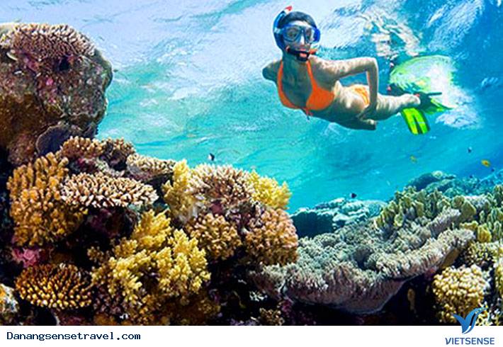 Khám phá đảo Cù Lao Chàm - Ảnh 2 Khám phá đảo Cù Lao Chàm - Ảnh 2