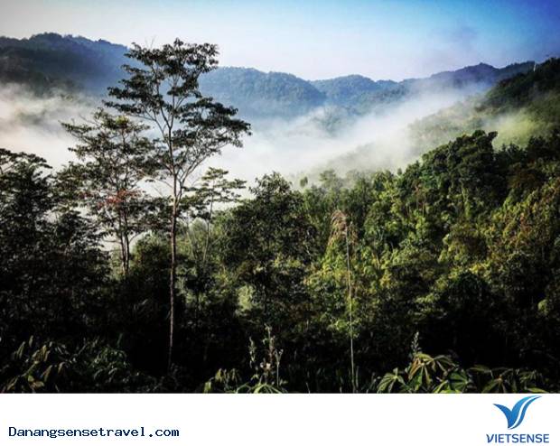 Khám phá đỉnh Mây Mù nơi không gian huyền ảo - Ảnh 3