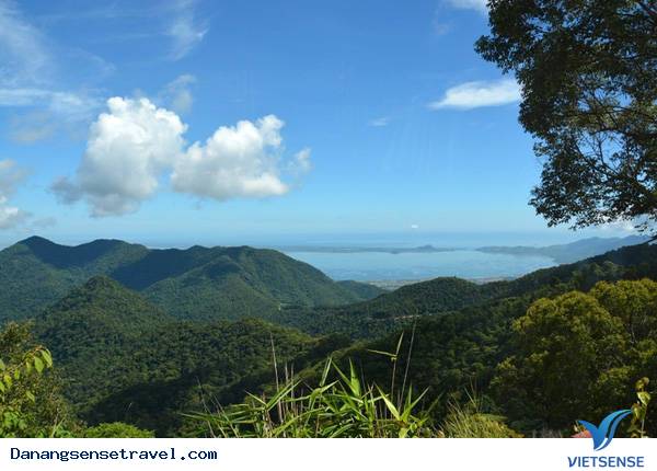 Khám phá đỉnh Mây Mù nơi không gian huyền ảo - Ảnh 7