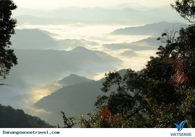 Khám phá đỉnh Mây Mù nơi không gian huyền ảo - Ảnh 6