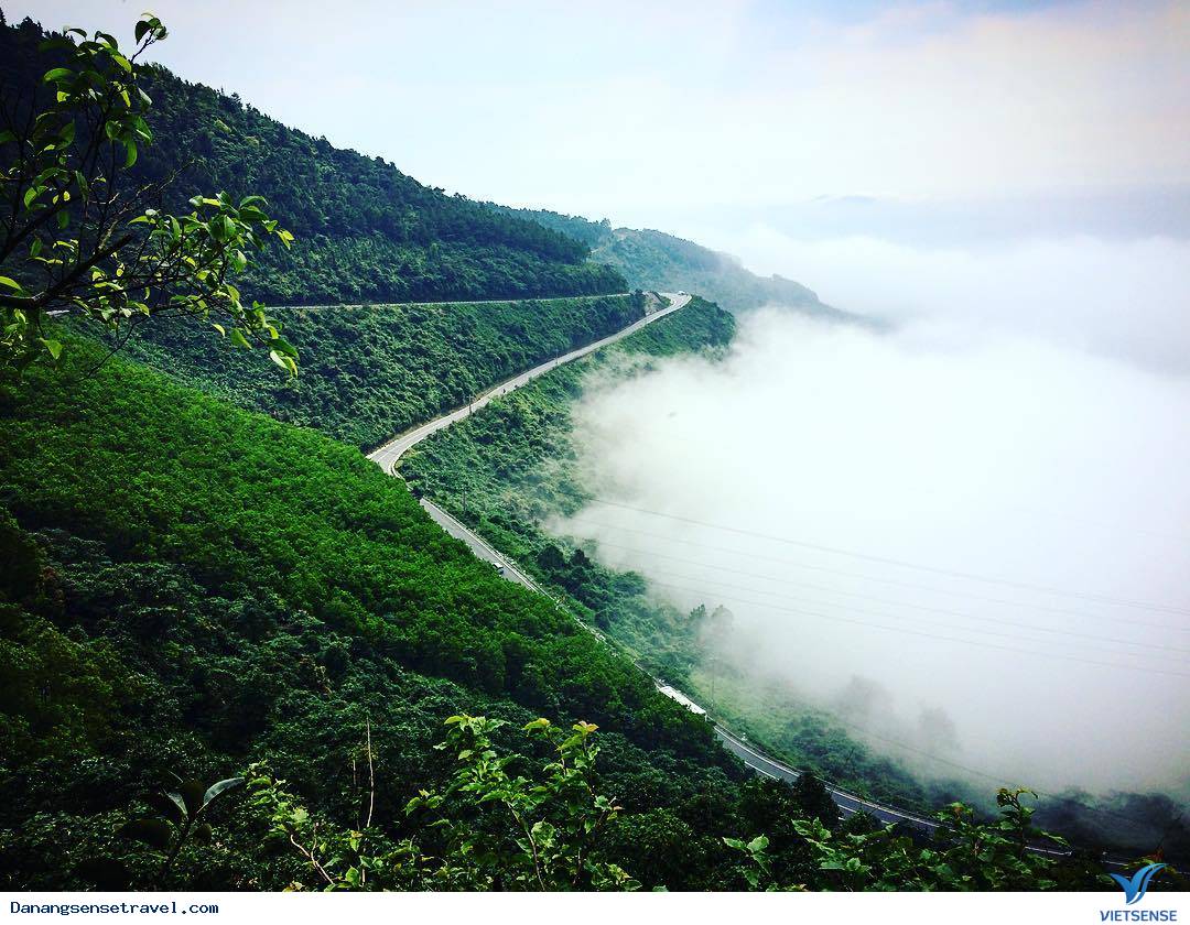 Khám phá đỉnh Mây Mù nơi không gian huyền ảo - Ảnh 4