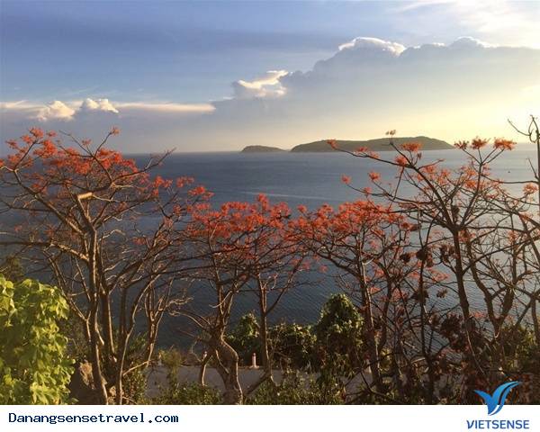 Khám phá hòn đảo hoa lý tưởng - Ảnh 3 Khám phá hòn đảo hoa lý tưởng - Ảnh 3