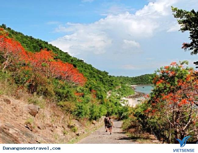 Khám phá hòn đảo hoa lý tưởng - Ảnh 1 Khám phá hòn đảo hoa lý tưởng - Ảnh 1