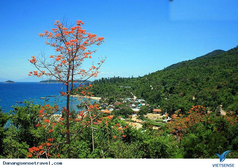 Khám phá hòn đảo hoa lý tưởng - Ảnh 2 Khám phá hòn đảo hoa lý tưởng - Ảnh 2