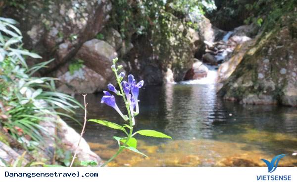 Khám phá Hồng Hạ vẻ đẹp xứ Huế - Ảnh 5 Khám phá Hồng Hạ vẻ đẹp xứ Huế - Ảnh 5