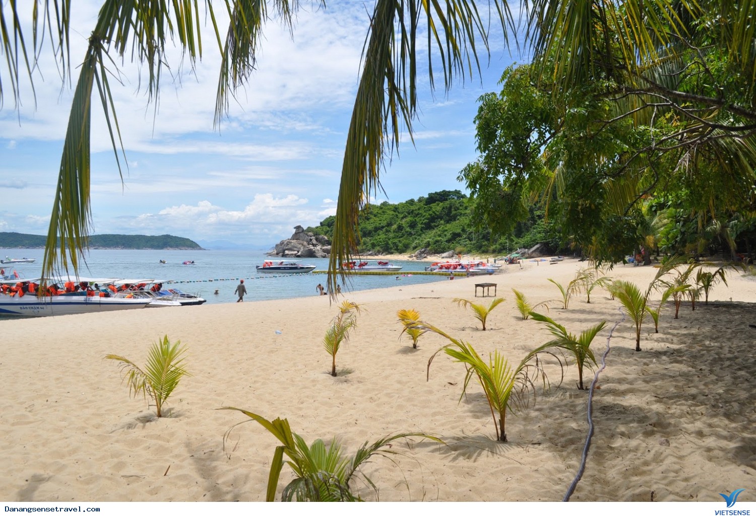 Cảnh quan tại khu sinh thái Bãi Chồng Cảnh quan tại khu sinh thái Bãi Chồng