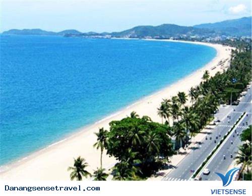 Bãi biển: Bãi biển: