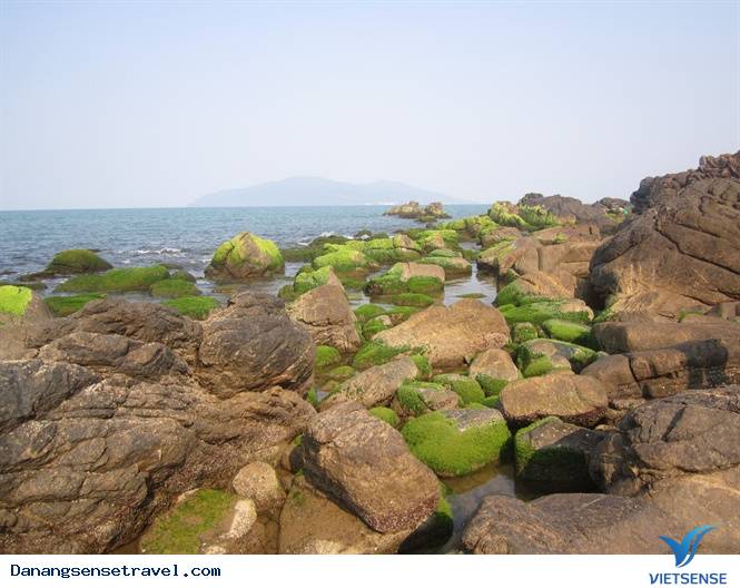 Làng chài cuối cùng ở Đà Nẵng - Ảnh 2 Làng chài cuối cùng ở Đà Nẵng - Ảnh 2