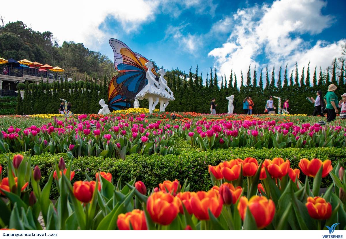Lễ hội hoa Tulip lớn nhất Việt Nam tại Sun World Ba Na Hills Lễ hội hoa Tulip lớn nhất Việt Nam tại Sun World Ba Na Hills