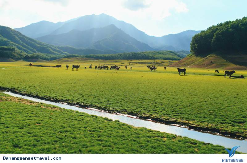 Lễ hội khinh khí cầu Đà Nẵng 2018 - Ảnh 4 Lễ hội khinh khí cầu Đà Nẵng 2018 - Ảnh 4