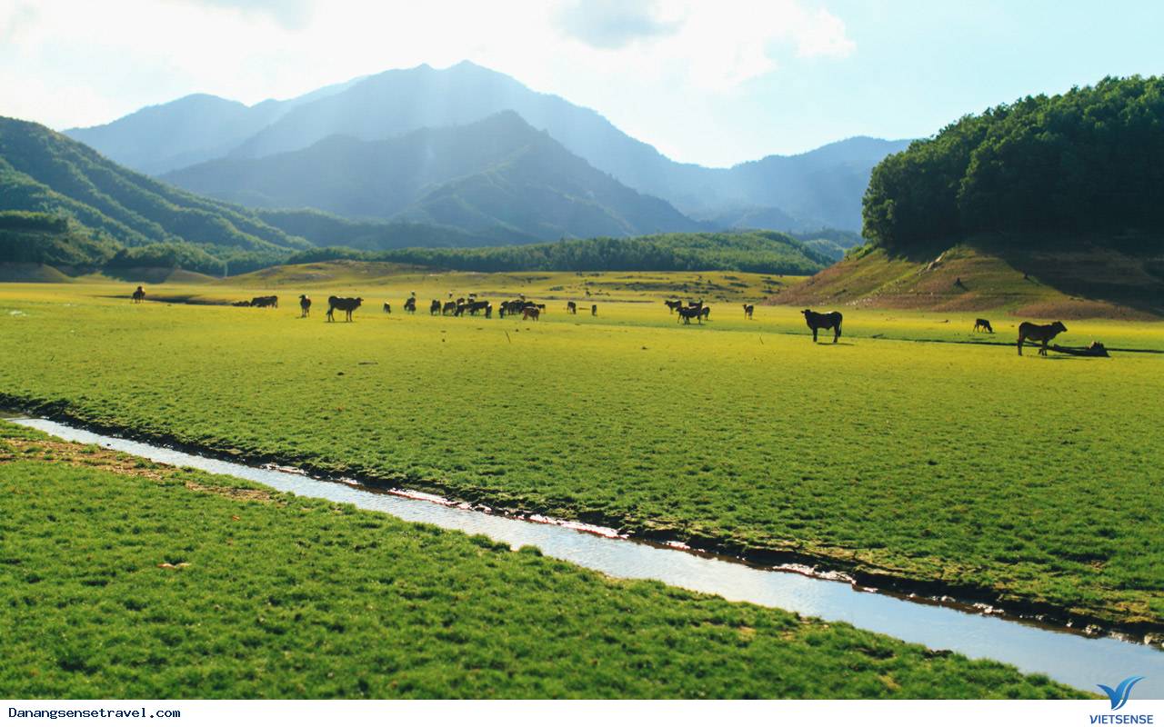 Mới lạ với những điểm thăm quan Đà Nẵng không phải ai cũng biết - Ảnh 2 Mới lạ với những điểm thăm quan Đà Nẵng không phải ai cũng biết - Ảnh 2