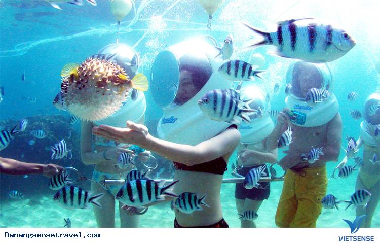 Ngắm biển Đà Nẵng từ trên cao - Ảnh 5 Ngắm biển Đà Nẵng từ trên cao - Ảnh 5