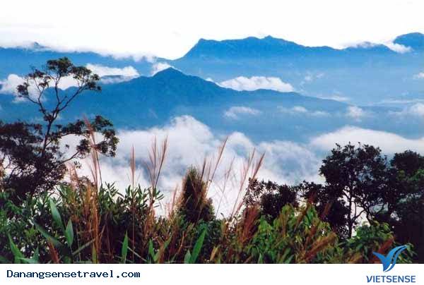 Những điểm thăm quan Đà Nẵng Hấp Dẫn ( P4 ) - Ảnh 5 Những điểm thăm quan Đà Nẵng Hấp Dẫn ( P4 ) - Ảnh 5