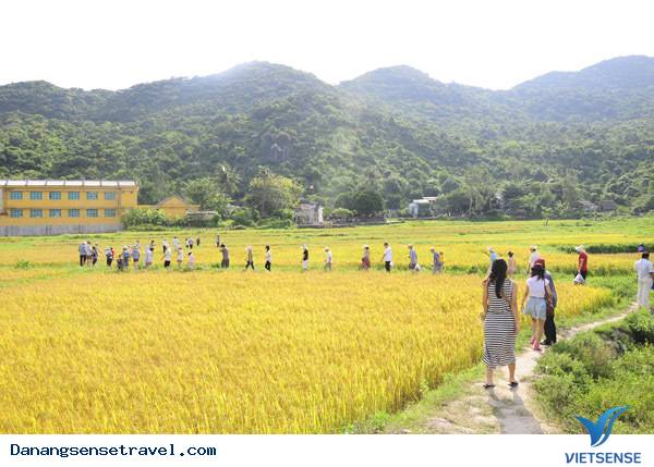 Những điểm thăm quan Đà Nẵng Hấp Dẫn ( P5 ) - Ảnh 5 Những điểm thăm quan Đà Nẵng Hấp Dẫn ( P5 ) - Ảnh 5