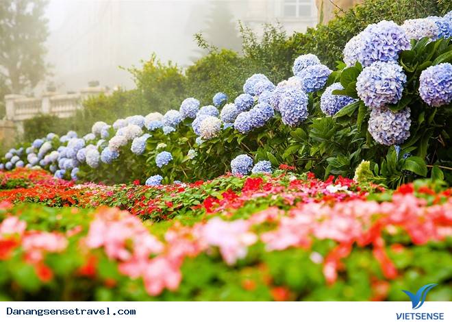 Tham quan những thắng cảnh Bà Nà - Ảnh 3