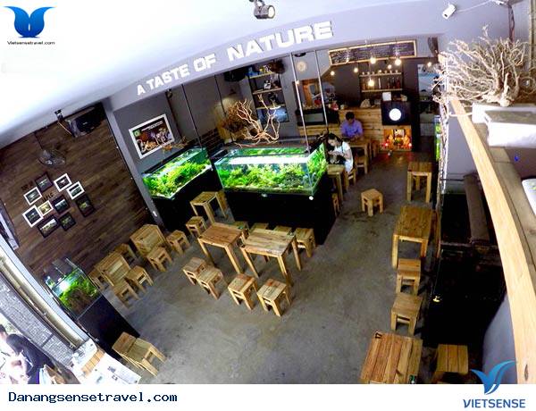 Những Quán Cafe Độc Đáo Hút Khách Tại Đà Nẵng - Ảnh 6 Những Quán Cafe Độc Đáo Hút Khách Tại Đà Nẵng - Ảnh 6