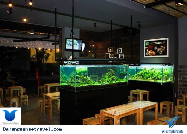 Những Quán Cafe Độc Đáo Hút Khách Tại Đà Nẵng - Ảnh 7 Những Quán Cafe Độc Đáo Hút Khách Tại Đà Nẵng - Ảnh 7