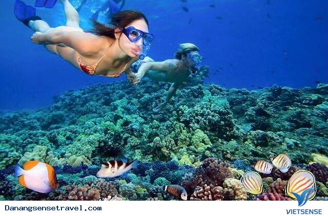 Những trải nghiệm bạn nên thử khi đến Hội An - Ảnh 4 Những trải nghiệm bạn nên thử khi đến Hội An - Ảnh 4