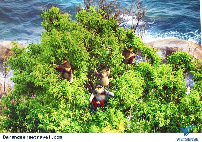 Những trải nghiệm nhất định phải biết khi đến Đà Nẵng - Ảnh 2 Những trải nghiệm nhất định phải biết khi đến Đà Nẵng - Ảnh 2