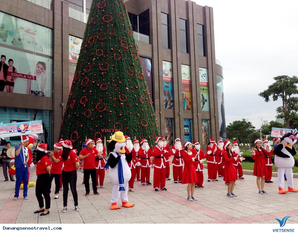 Rộn ràng mùa Giáng tại sinh Đà Nẵng - Ảnh 1