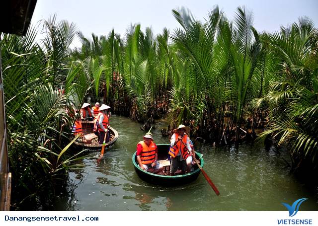 Rừng dừa Bảy Mẫu sau lưng phố Hội - Ảnh 2