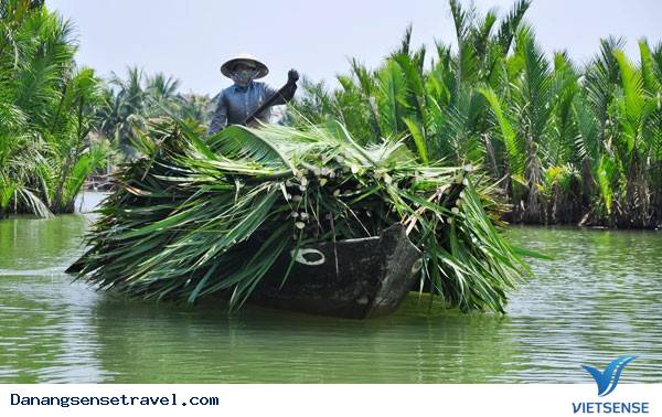 Rừng dừa Bảy Mẫu sau lưng phố Hội - Ảnh 6