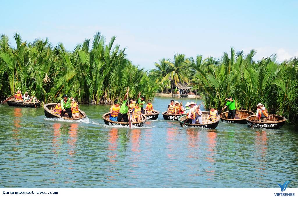 Rừng dừa Bảy Mẫu sau lưng phố Hội - Ảnh 4