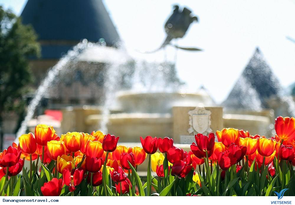 Sắc xuân lộng lẫy trên Bà Nà Hills - Ảnh 2 Sắc xuân lộng lẫy trên Bà Nà Hills - Ảnh 2