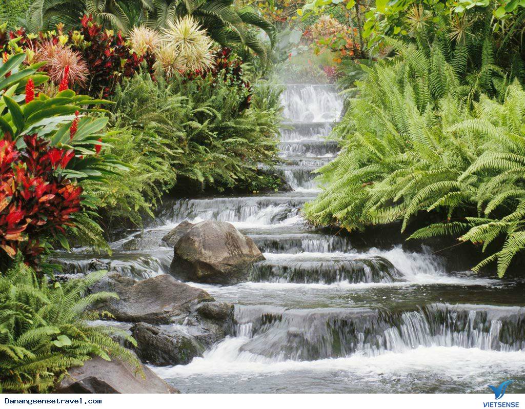 Suối Cẩm Hương Đà Nẵng - Ảnh 5 Suối Cẩm Hương Đà Nẵng - Ảnh 5
